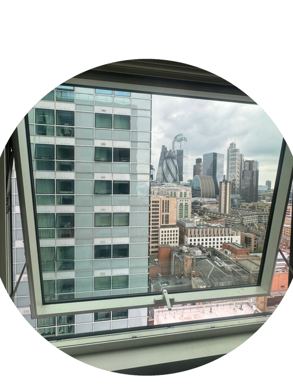 Siegenia Window Repair