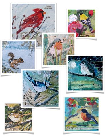 A variety of birds in collage