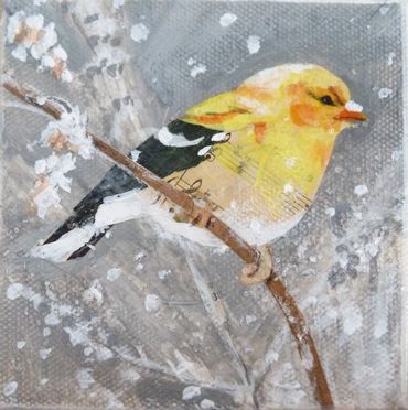 Yellow finch perched on a twig with frost