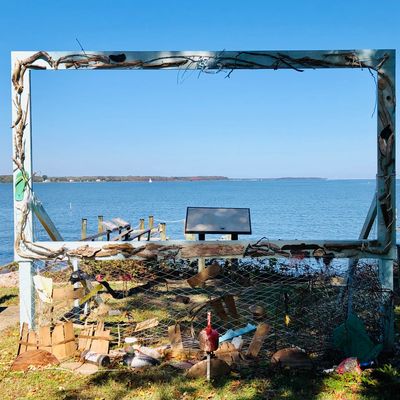 Looking out over the water from the lawn