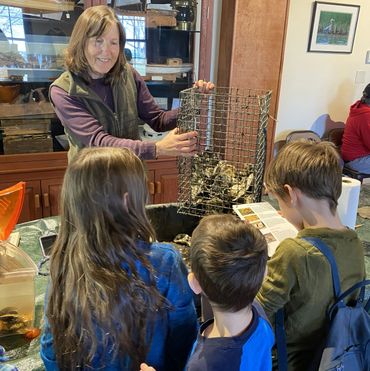 Children looking at an oyster cage and small sea creatures