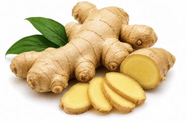 GINGER