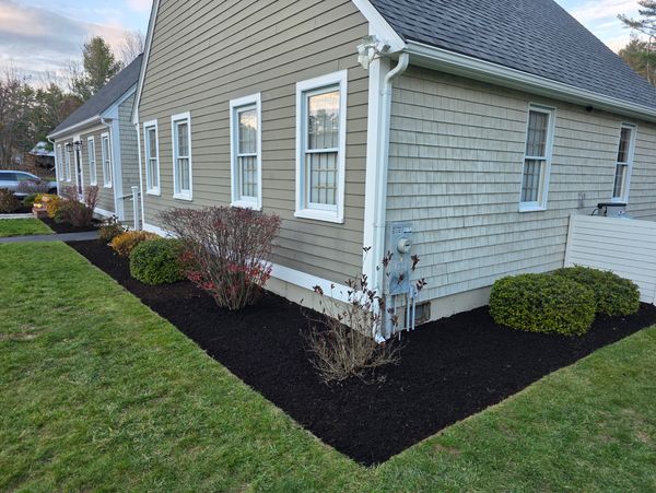 Fresh Pine Mulch Beds with straight line edging