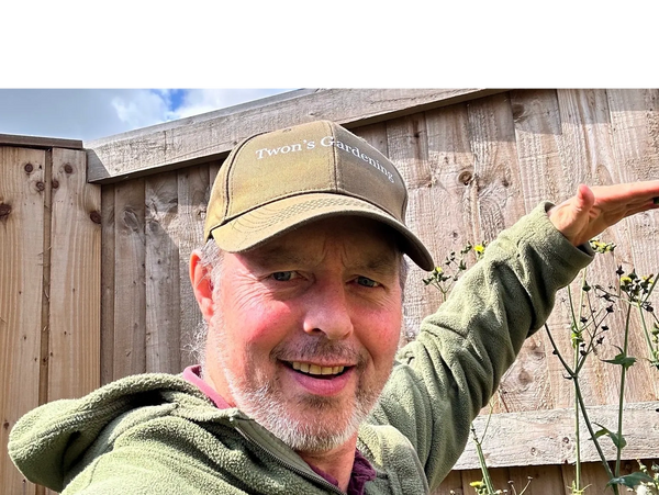 Weeding, Organic gardener, Twon's gardening, gardener, garden maintenance