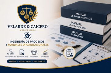 Velarde & Caicero offers process engineering and organizational manuals for efficiency and legality.