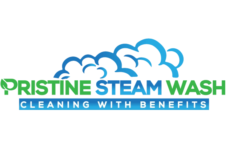 Pristine Steam Wash logo