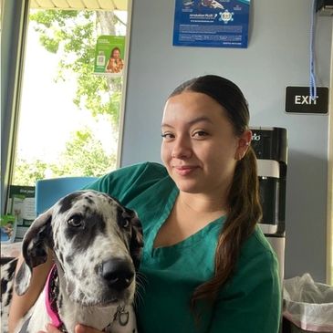 A woman in green scrubs holding a large spotted dog indoors.