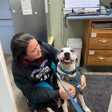 A woman happily hugs a smiling dog indoors.