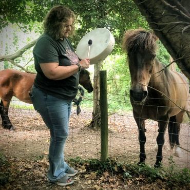Anna offering reiki drum to a wild horse