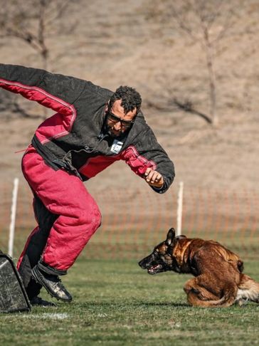 Man in protective suit training a dog.