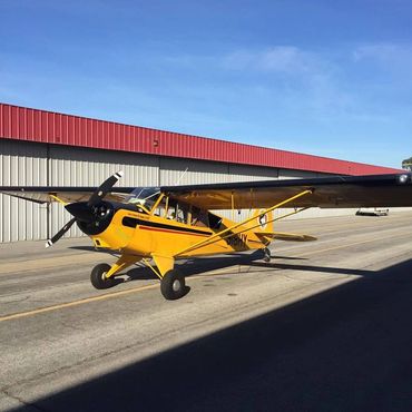 Husky from Afton to Nor Cal.