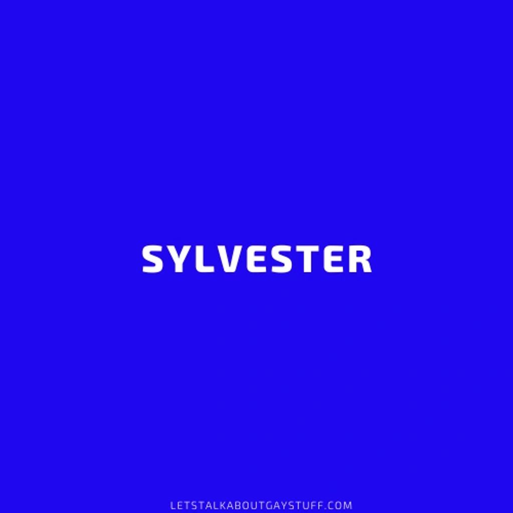 Sylvester
National African American History Month
LGBTQ pioneer - entertainment, music