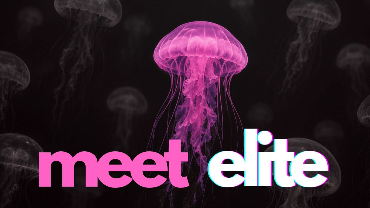 A glowing pink jellyfish with the words 'meet elite' in bold text.