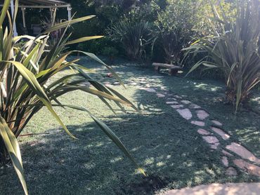 Sunny garden path with stone walkway and wooden bench surrounded by lush greenery.