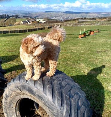 Molly testing out the tyres