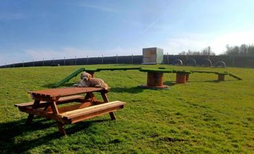 Our lovely field ready to receive visitors