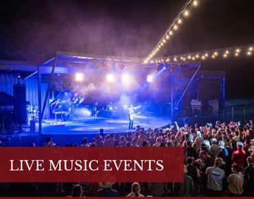 Crowd enjoying a live music concert with vibrant stage lighting.