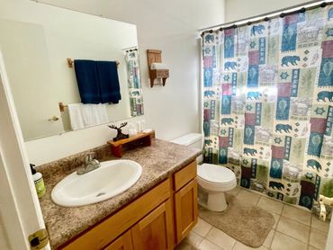 Main floor bathroom