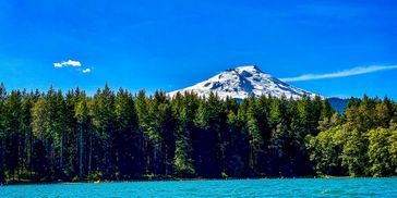 Snow-capped mountain behind a forest by a lake.