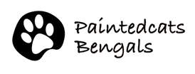 Paintedcats Bengals