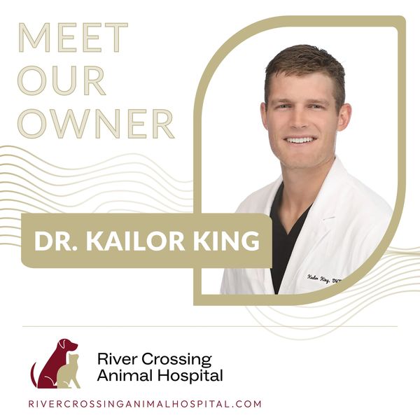 Meet Dr. Kailor King, owner of River Crossing Animal Hospital.