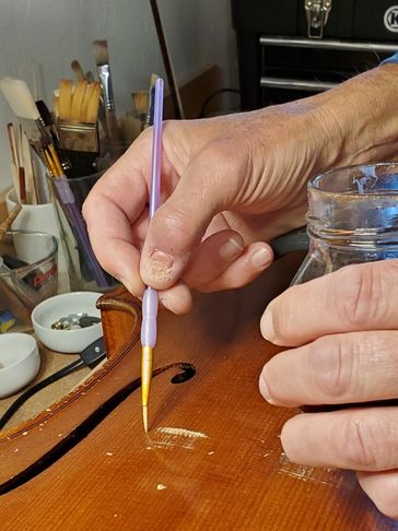 Cello restoration. Applying new shellac to repair scratches.