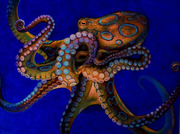 Giant octopus painting