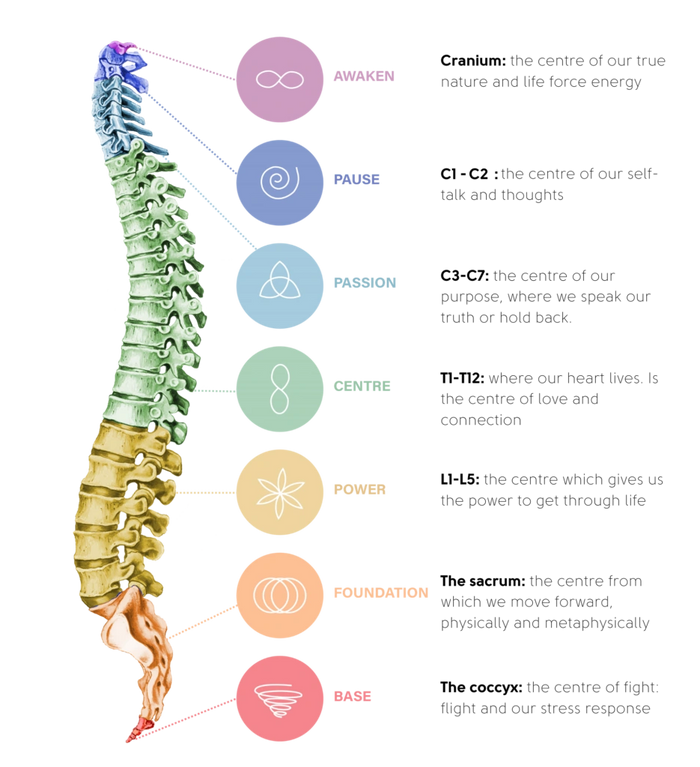 Spinal Flow Healing Modality.