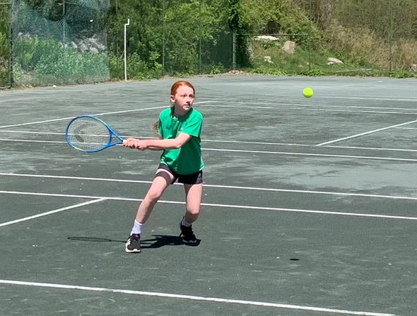 The club has 5 Har-Tru tennis courts