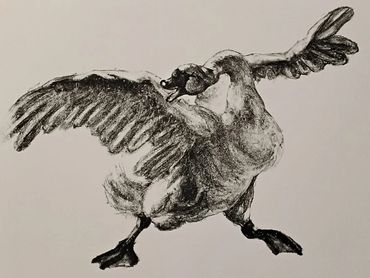 Charcoal drawing of a goose flapping its wings.