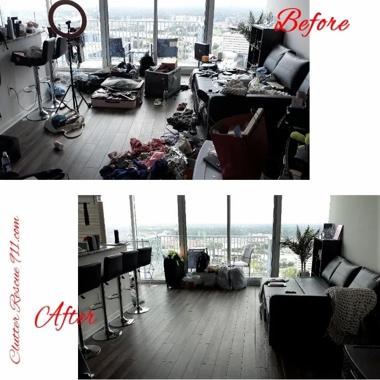 livingroom, Clutter Rescue 911, Tampa Home Organizer, organization, clutter,  professional organizer