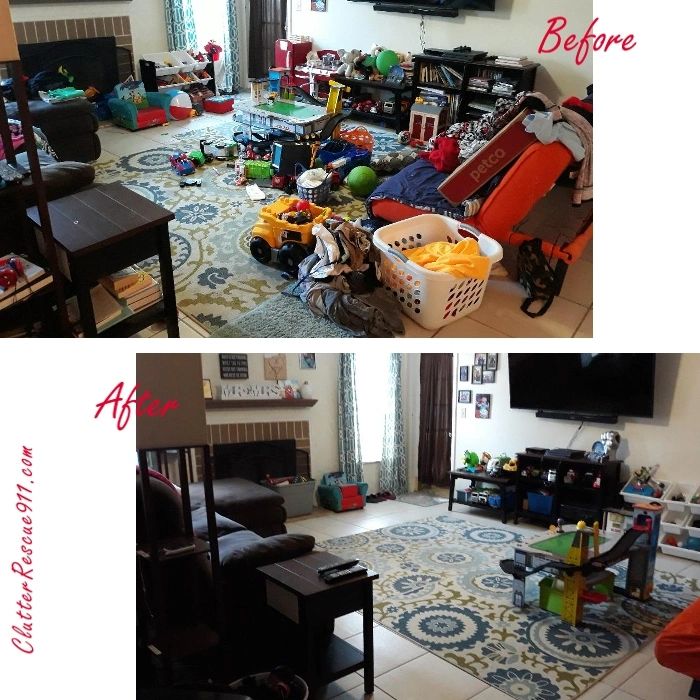 livingroom, Clutter Rescue 911, Tampa Home Organizer, organization, clutter,  professional organizer
