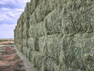 Large stacked bales of hay in a field under a cloudy sky.