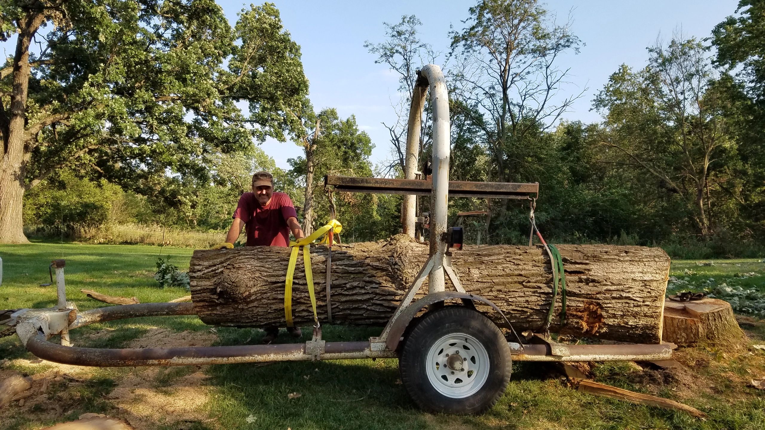 Hardwood logs ready for milling and kiln drying at Twister Hill Hardwoods.