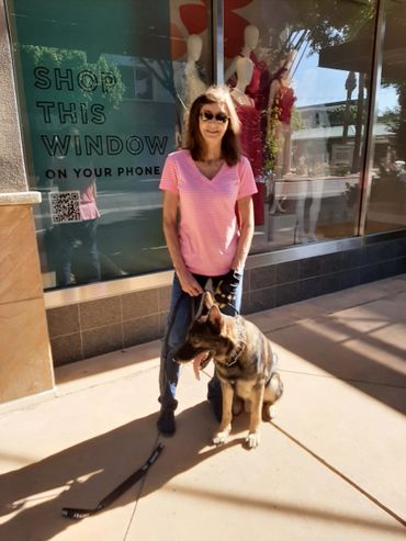 German Shepherd with DogTrainer