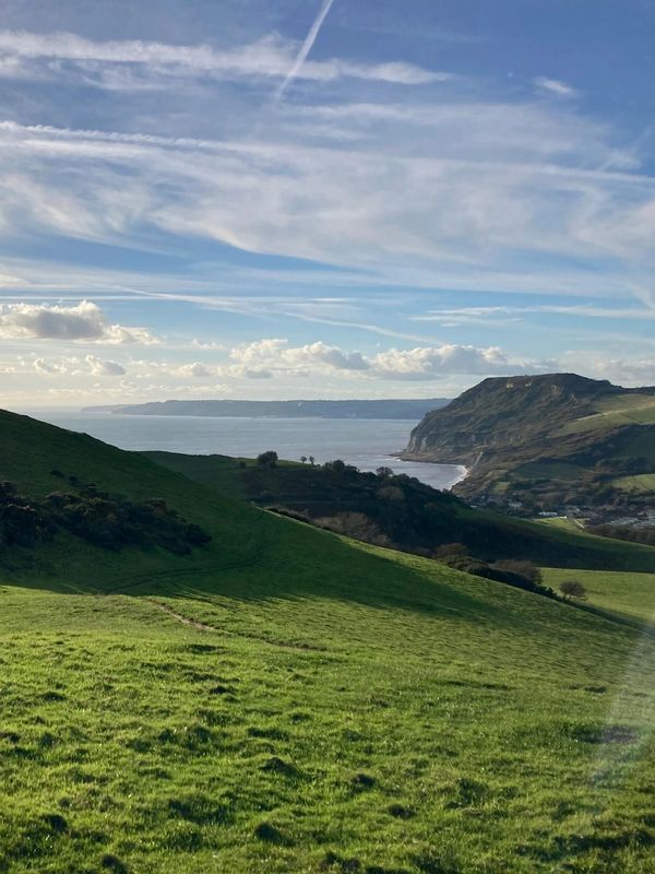 West Dorset Coastal Foraging view of Thornecombe Beacon, Golden Cap and Seatown over to Charmouth