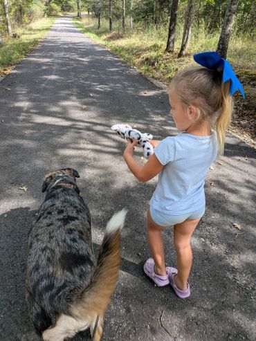 A little girl walks a dog on a shaded path, holding a spotted stuffed toy.