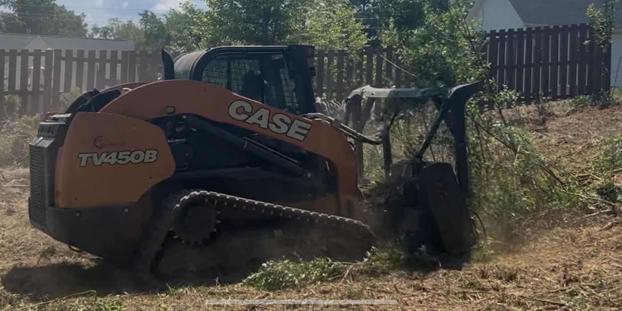 Skid steer with high flow drum mulcher attachment removing sapling pine field.