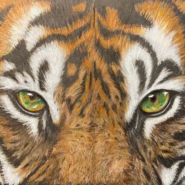 close up of tiger
