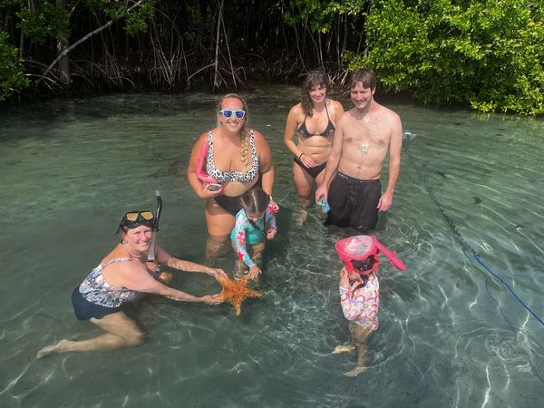 florida wildlife, orange starfish, snorkeling, searching for seashells