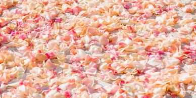 Cocoa Beach wedding flower petals - Central Florida Wedding Group