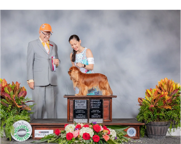 New grand champion! July 2019