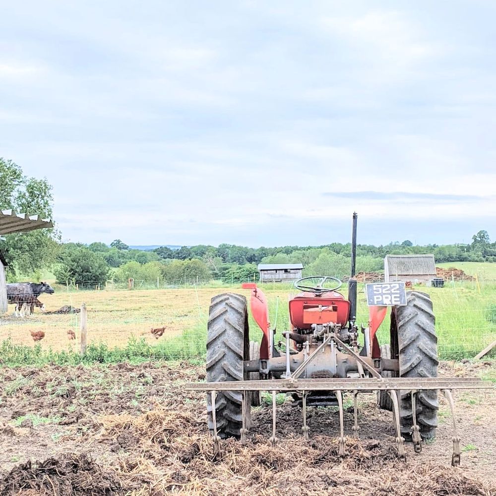Free range farm and farm shop