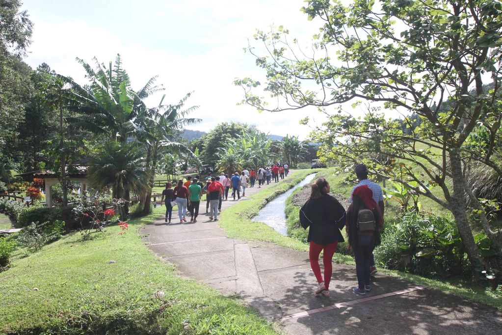 Life Superior to Organism