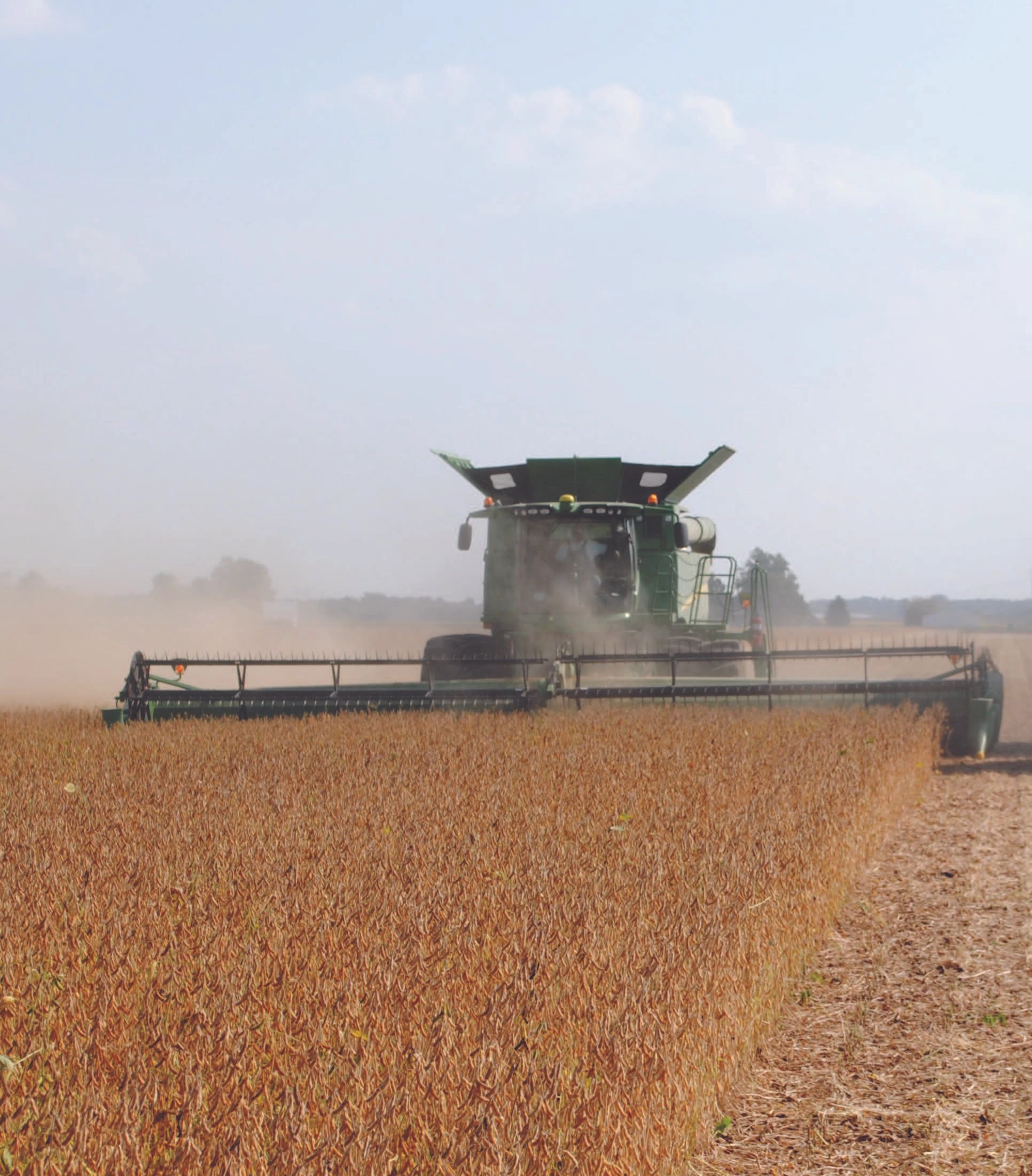 TM Farms Toby Middlesworth Farms Inc