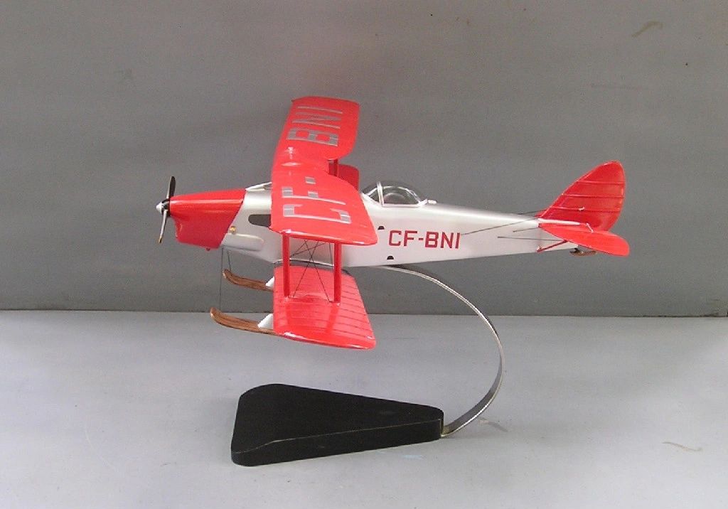Fox Moth custom model