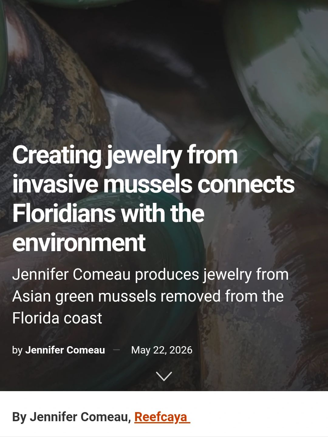 Jewelry crafted from invasive Asian green mussels connects Floridians to their environment.