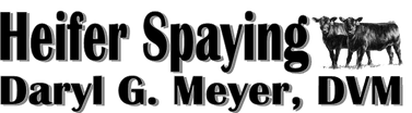 Heifer Spaying - Daryl G Meyer, DVM