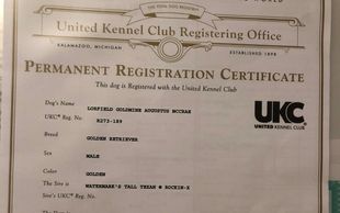 UKC Registration