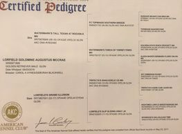 Lorfields Goldmine Augustus McCrae 
GUS